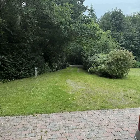 Large Close To Nature *