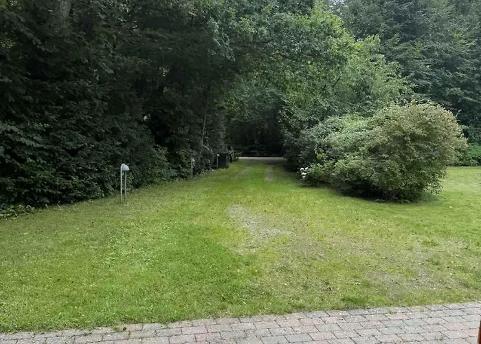 Large Close To Nature *